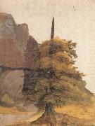 Albrecht Durer A Tree in a Quarry oil painting